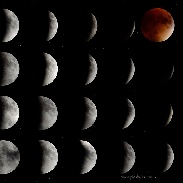 <font class="tempImageTitleThumbText">Lunar Eclipse</font><br>Lisa Marie Ford<br>Oct 1 7:55pm<br>Family Farm Country, Crawford C