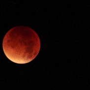 <font class="tempImageTitleThumbText">Lunar Eclipse</font><br>Liselotte Kahns<br>Sep 28 10:40am<br>Aarhus, Denmark