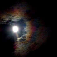 <font class="tempImageTitleThumbText">Lunar Eclipse</font><br>Lynda Ford<br>Sep 29 12:17am<br>Wayland New York