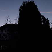 <font class="tempImageTitleThumbText">Venus - Jupiter Conjunction</font><br>Marek Kukliński<br>Mar 3 10:24am<br>Gdańsk, Poland