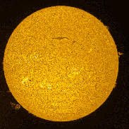 <font class="tempImageTitleThumbText">Sun In H-Alpha</font><br>Marek Kukliński<br>Jun 27 11:03am<br>Gdańsk, Poland