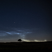 <font class="tempImageTitleThumbText">Noctilucent Clouds</font><br>Marek Nikodem<br>Jul 8 9:45pm<br>near Szubin, Poland