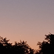 <font class="tempImageTitleThumbText">Luminous Venus Clearly Observed From Chi </font><br>Mario J. Avila (Retired)<br>Apr 8 11:20pm<br>Santiago City.