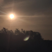 <font class="tempImageTitleThumbText">A Rare Pic Of The Sun On Rainy/storm Wint</font><br>Mario J. Avila (Retired)<br>Aug 21 9:26pm<br>Santiago. Chile