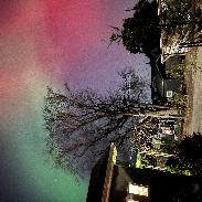 <font class="tempImageTitleThumbText">Red And Green Auroras</font><br>Marjie Estivill<br>Nov 12 4:32am<br>Davenport, Iowa