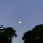 <font class="tempImageTitleThumbText">Total Lunar Eclipse</font><br>Mark Femminineo<br>Mar 4 11:46am<br>St. Johns River, Florida USA