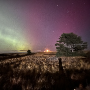 <font class="tempImageTitleThumbText">Aurora</font><br>Mark Gibbas<br>Nov 12 4:43am<br>Salisbury, MA, USA
