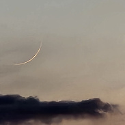 <font class="tempImageTitleThumbText">Crescent Moon And Planets</font><br>Mark McCloskey<br>Jun 16 10:28pm<br>South Bristol, New York, USA