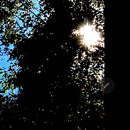 <font class="tempImageTitleThumbText">Venus In Daylight!!</font><br>Mark McCloskey<br>Oct 3 11:19pm<br>South Bristol, New York, USA