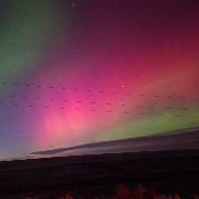 <font class="tempImageTitleThumbText">Auroras</font><br>Mark Watkins<br>Nov 12 2:49am<br>Ritzville, WA