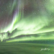<font class="tempImageTitleThumbText"> Aurora From The Flight Deck</font><br>Matt Melnyk<br>Sep 14 1:38pm<br>Northern Manitoba, Hudson Bay a