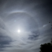<font class="tempImageTitleThumbText">Moon Dog</font><br>Matthew<br>Aug 28 5:53am<br>Wildomar California 