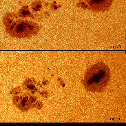 <font class="tempImageTitleThumbText">AR 4492 And 4493 Evolution</font><br>Maximilian-Vlad Teodorescu<br>Jul 24 2:17pm<br>Institute of Space Science, Rom