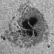 <font class="tempImageTitleThumbText">Rotation Of A Sunspot - AR4482</font><br>Maximilian-Vlad Teodorescu<br>Jul 13 3:35pm<br>Institute of Space Science, Rom