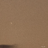 <font class="tempImageTitleThumbText">The Crescent Venus </font><br>Meiying Lee<br>Aug 20 1:17pm<br>Taipei, Taiwan