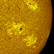 <font class="tempImageTitleThumbText">Active Regions 4478-80 In H-alpha</font><br>Michael Borman<br>Jul 2 7:58pm<br>Evansville, Indiana, USA