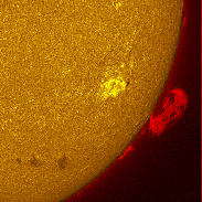 <font class="tempImageTitleThumbText">The Sun In H-alpha</font><br>Michael Borman<br>Jun 15 12:09am<br>Evansville, Indiana, USA