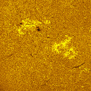 <font class="tempImageTitleThumbText">Active Regions 4477-4480 In H-alpha</font><br>Michael Borman<br>Jun 28 9:45pm<br>Evansville, Indiana, USA