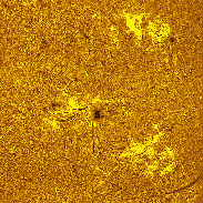 <font class="tempImageTitleThumbText">Active Regions 4478-80 And 4475 H-alpha</font><br>Michael Borman<br>Jun 30 4:41pm<br>Evansville, Indiana, USA