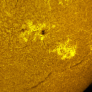 <font class="tempImageTitleThumbText">Active Regions 4478-80 In H-alpha</font><br>Michael Borman<br>Jul 1 8:41pm<br>Evansville, Indiana, USA