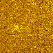 <font class="tempImageTitleThumbText">Sunspot Region 4489 In H-alpha</font><br>Michael Borman<br>Jul 18 6:48pm<br>Evansville, Indiana, USA