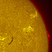 <font class="tempImageTitleThumbText">Active Regions 4507 And 4508 In H-alpha</font><br>Michael Borman<br>Aug 18 4:19pm<br>Evansville, Indiana, USA
