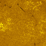 <font class="tempImageTitleThumbText">AR4513 And Full Disk In H-alpha</font><br>Michael Borman<br>Aug 23 12:13am<br>Evansville, Indiana, USA
