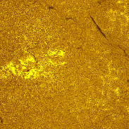 <font class="tempImageTitleThumbText">AR4513 And AR4515</font><br>Michael Borman<br>Aug 23 6:36pm<br>Evansville, Indiana, USA