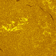<font class="tempImageTitleThumbText">AR4513 -AR4517, Full Disk In H-alpha</font><br>Michael Borman<br>Aug 24 8:40pm<br>Evansville, Indiana, USA