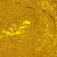 <font class="tempImageTitleThumbText">AR4513 -AR4517, Full Disk In H-alpha</font><br>Michael Borman<br>Aug 25 7:38pm<br>Evansville, Indiana, USA