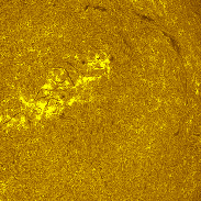 <font class="tempImageTitleThumbText">AR4513 -AR4517, Full Disk In H-alpha</font><br>Michael Borman<br>Aug 27 12:07am<br>Evansville, Indiana, USA