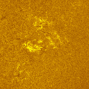 <font class="tempImageTitleThumbText">The Sun In H-alpha</font><br>Michael Borman<br>Oct 6 8:07pm<br>Evansville, Indiana, USA