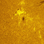 <font class="tempImageTitleThumbText">AR4551 And Big Prominence </font><br>Michael Borman<br>Oct 12 9:35pm<br>Evansville, Indiana, USA