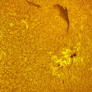 <font class="tempImageTitleThumbText">The Sun In H-alpha</font><br>Michael Borman<br>Oct 17 8:33pm<br>Evansville, Indiana, USA