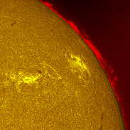<font class="tempImageTitleThumbText">The Sun In H-alpha</font><br>Michael Borman<br>Oct 22 11:56pm<br>Evansville, Indiana, USA