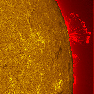 <font class="tempImageTitleThumbText">Spectacular Fan Shaped Prominence And AR4</font><br>Michael Borman<br>Aug 21 6:37pm<br>Evansville, Indiana, USA