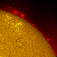 <font class="tempImageTitleThumbText">Huge Prominence On The West Limb Of The S</font><br>Michael Borman<br>Oct 12 1:39am<br>Evansville, Indiana, USA