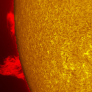 <font class="tempImageTitleThumbText">BIG Prominence On The Eastern Limb Of The</font><br>Michael Borman<br>Sep 17 6:39pm<br>Evansville, Indiana, USA