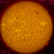 <font class="tempImageTitleThumbText">The Sun In H-alpha</font><br>Michael Borman<br>Jun 17 4:37pm<br>Evansville, Indiana, USA