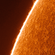 <font class="tempImageTitleThumbText">High Activity Behind The Edge Of The Sun</font><br>Michael Jaeger<br>May 26 12:09pm<br>AZM Martinsberg Austria