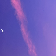 <font class="tempImageTitleThumbText">The Moon With Jupiter And Venus</font><br>Michael Menke<br>Feb 23 2:04am<br>Wilmington, NC
