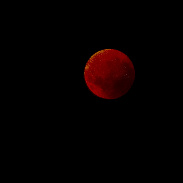 <font class="tempImageTitleThumbText">Total Lunar Eclipse</font><br>Mihailo Lazović<br>Sep 7 6:02pm<br>Čačak, Serbia