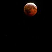 <font class="tempImageTitleThumbText">Near-total Lunar Eclipse</font><br>Mike Lynch<br>Aug 28 7:29pm<br>Louisville, Kenucky  USA