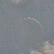 <font class="tempImageTitleThumbText">Moon-Venus Cloudy Occultation</font><br>Mike Olason<br>Jun 18 11:23pm<br>SaddleBrooke, Arizona