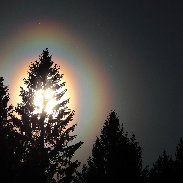 <font class="tempImageTitleThumbText">Pollen Ring</font><br>Mikko Peussa<br>May 30 8:01am<br>Nousiainen, Finland