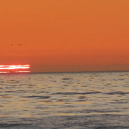 <font class="tempImageTitleThumbText">Novaya Zemlya Effect With The Sunset Dela</font><br>Mila Zinkova<br>Mar 20 1:36pm<br>San Francisco, California, USA
