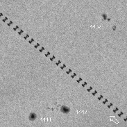 <font class="tempImageTitleThumbText">ISS Sun Transit</font><br>Milan Antoš<br>May 28 11:23am<br>Jablonec nad Nisou, Czech rep. 
