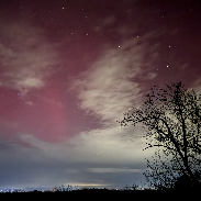 <font class="tempImageTitleThumbText">Auroras Near Front Royal, VA</font><br>Milo <br>Nov 12 3:18am<br>just north of Front Royal VA, U
