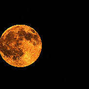 <font class="tempImageTitleThumbText">Pleine Lune Des Moissons</font><br>Montmoril Daniel<br>Sep 27 8:06am<br>Poulaines . France