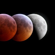 <font class="tempImageTitleThumbText">Total Lunar Eclipse 20 January 2019</font><br>Morris Maduro<br>Jan 21 8:16am<br>Riverside, California, USA